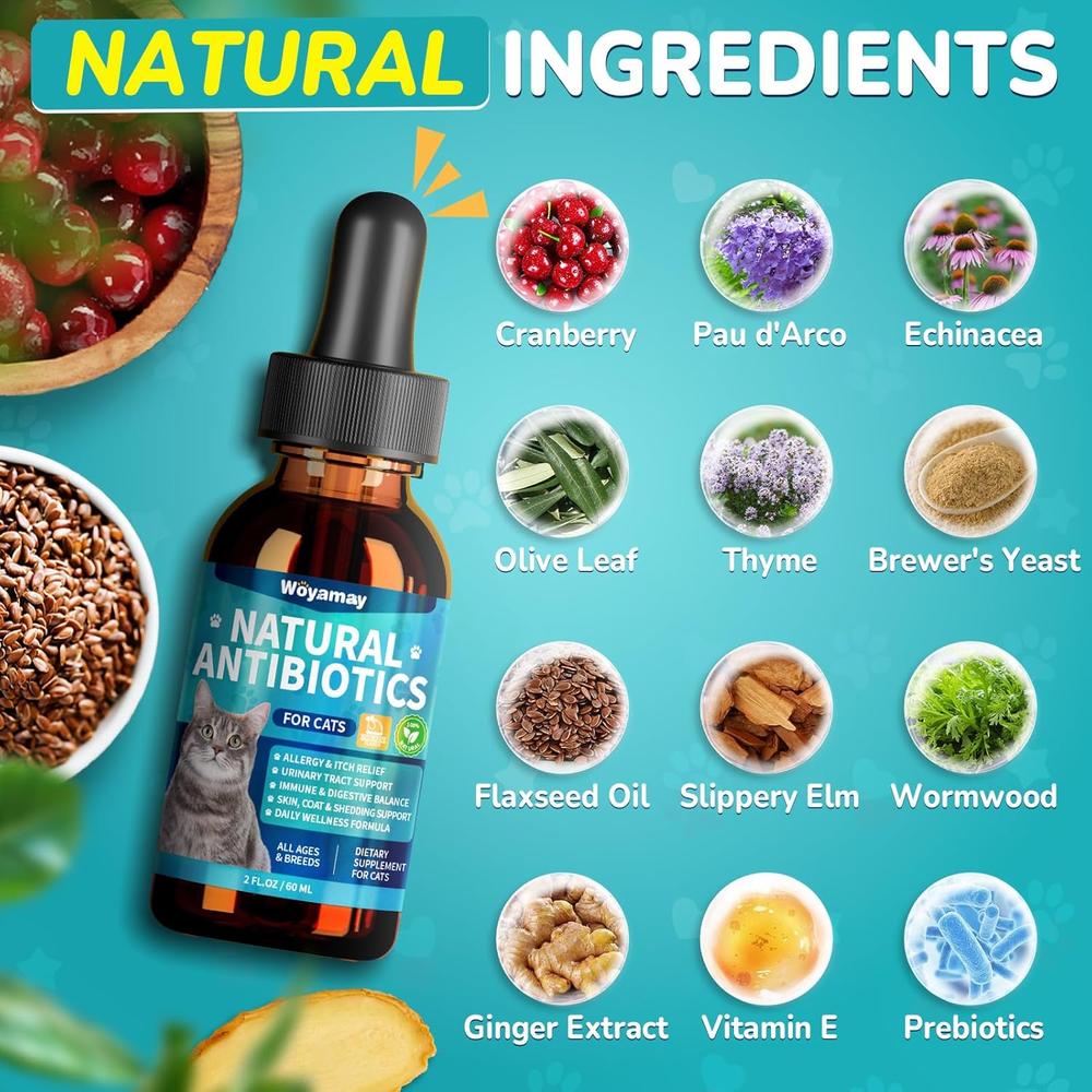 Natural Antibiotic Supplement for Cats