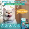 Natural Liquid Antibiotic Supplement for Cats — Allergy Relief, Urinary Tract Support, Immune Boost & Digestive Care (2 fl oz)