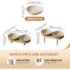 Raised Ceramic Whisker-Friendly Cat Bowls — Wide, Shallow Dishes with 2-Height Adjustable Stand