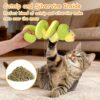 Realistic Snake Cat Toy – 14" Catnip & Silvervine Plush with Crinkle Sound for Active Indoor Cats