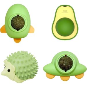 Autumn Is Better With Cats  – Eco Raglan Unisex Hoodie