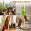2-in-1 Interactive Hide-and-Seek Cat Toy – Automatic Moving Undercover Teaser with Chirping Sounds, Feather & Mouse Attachments, USB Rechargeable