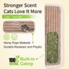 Sisal Cat Kicker Toy Stuffed with Organic Catnip – Soft Scratch & Chew Toy for Indoor Cats