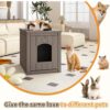 Waterproof Resin Cat House – Flip-Lid Shelter with Raised Floor & Easy-Clean Design