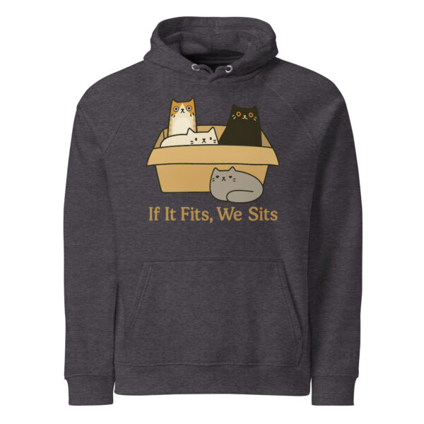If It Fits, We Sits – Eco Raglan Hoodie