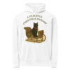 Peaceful Christmas Journey – Cozy Garment-Dyed Cat Lover Hoodie