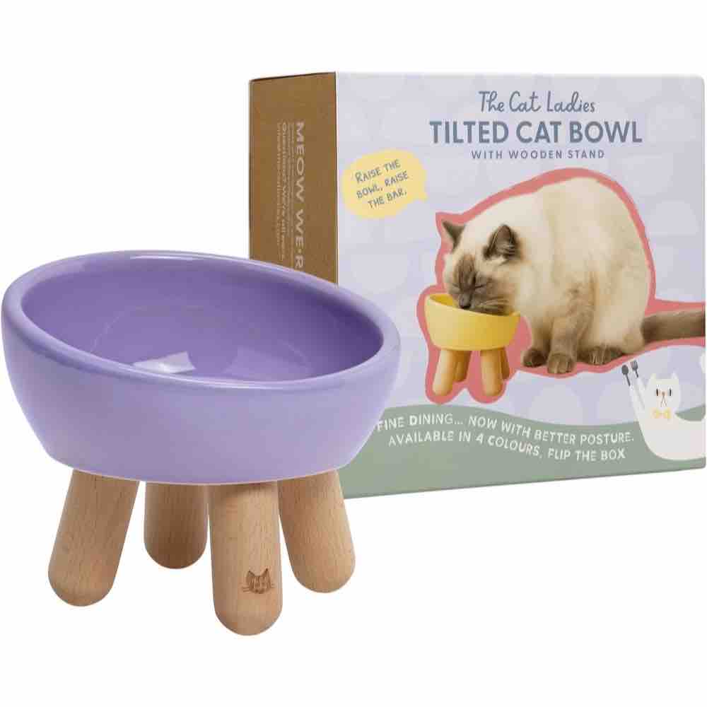 Tilted ceramic cat bowl for elevated whisker-friendly feeding