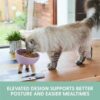 Tilted Ceramic Cat Bowl — Elevated Whisker-Friendly Feeding Bowl