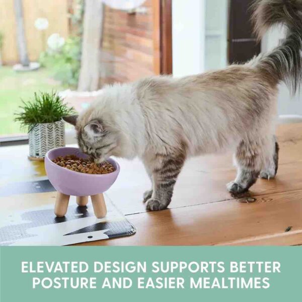 Tilted Ceramic Cat Bowl — Elevated Whisker-Friendly Feeding Bowl