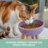 Tilted Ceramic Cat Bowl — Elevated Whisker-Friendly Feeding Bowl