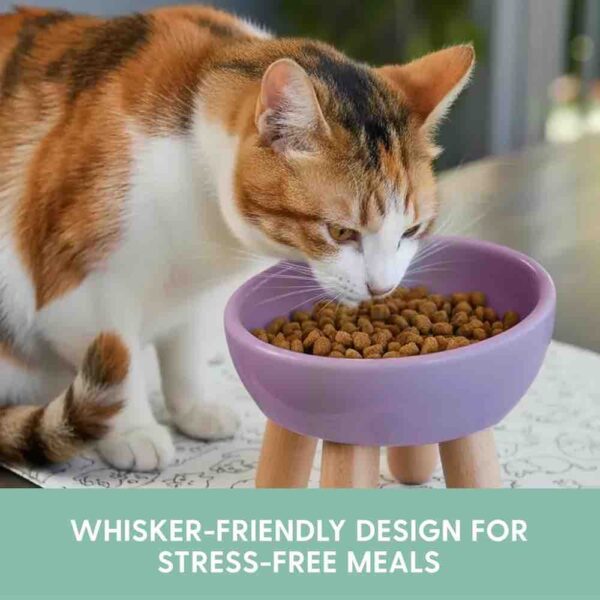 Tilted Ceramic Cat Bowl — Elevated Whisker-Friendly Feeding Bowl