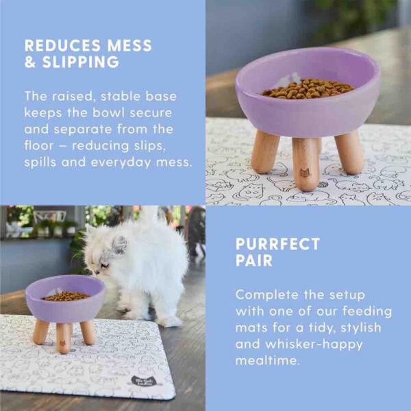 Tilted Ceramic Cat Bowl — Elevated Whisker-Friendly Feeding Bowl