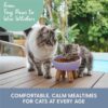 Tilted Ceramic Cat Bowl — Elevated Whisker-Friendly Feeding Bowl