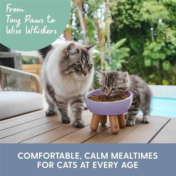 Tilted Ceramic Cat Bowl — Elevated Whisker-Friendly Feeding Bowl